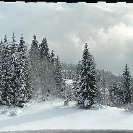 Tannenhof 4 Haidmuhle